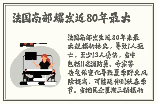 **国际视频2017
